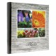 Album 200 photos format 10/15 memo