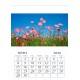 Desk calendar with ready-made design, size 13/18 cm