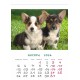 Desk calendar with ready-made design, size 13/18 cm