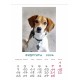 Desk calendar with ready-made design, size 13/18 cm