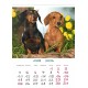Desk calendar with ready-made design, size 13/18 cm