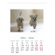 Desk calendar with ready-made design, size 13/18 cm