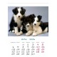 Desk calendar with ready-made design, size 13/18 cm