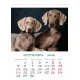Desk calendar with ready-made design, size 13/18 cm