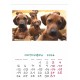 Desk calendar with ready-made design, size 13/18 cm