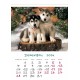 Desk calendar with ready-made design, size 13/18 cm