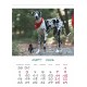 Настолен календар ф-т 17/25 см по готов дизайн