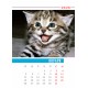 Desk calendar size 17/25 cm according to a ready-made design