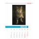 Desk calendar size 17/25 cm according to a ready-made design