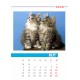 Desk calendar size 17/25 cm according to a ready-made design