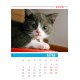 Настолен календар ф-т 17/25 см по готов дизайн