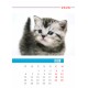 Desk calendar size 17/25 cm according to a ready-made design