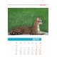 Desk calendar size 17/25 cm according to a ready-made design