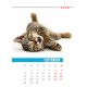 Desk calendar size 17/25 cm according to a ready-made design