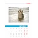 Desk calendar size 17/25 cm according to a ready-made design