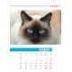 Desk calendar size 17/25 cm according to a ready-made design