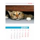 Desk calendar size 17/25 cm according to a ready-made design