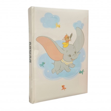 Album 300 photos format 10/15 memo